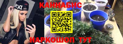 спайс Гатчина