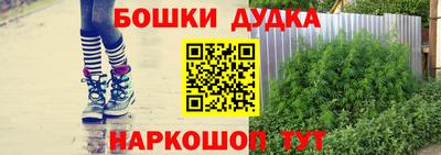 индика Гай