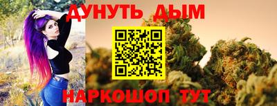 индика Гай