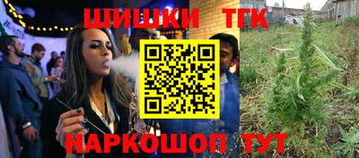 индика Гай