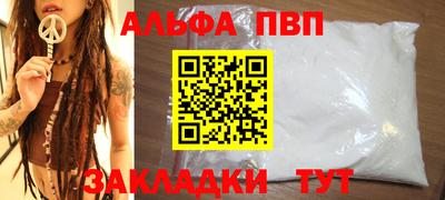 индика Гай