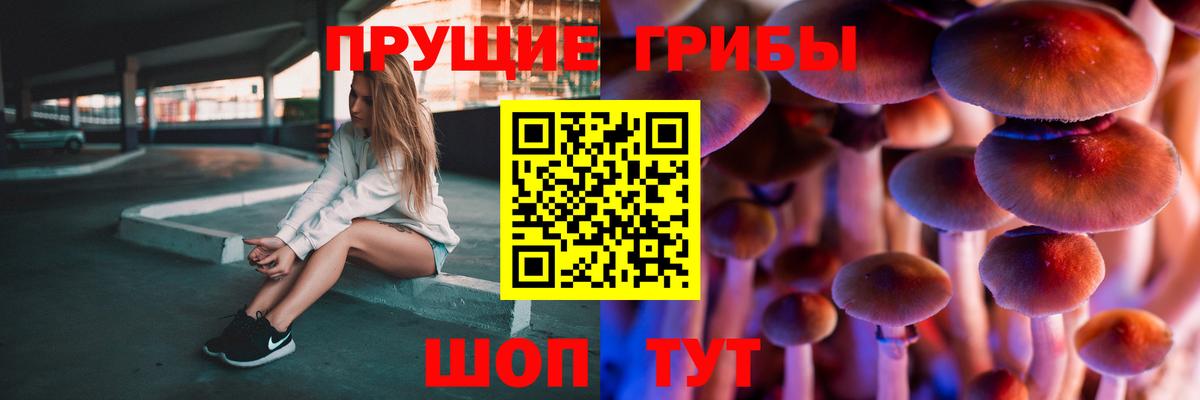 Ивантеевка  Галлюциногенные грибы мицелий  Вход с VPN 