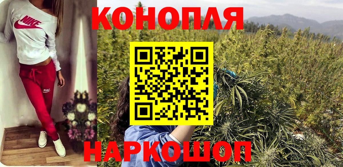 Канабис ГИДРОПОН Ивантеевка